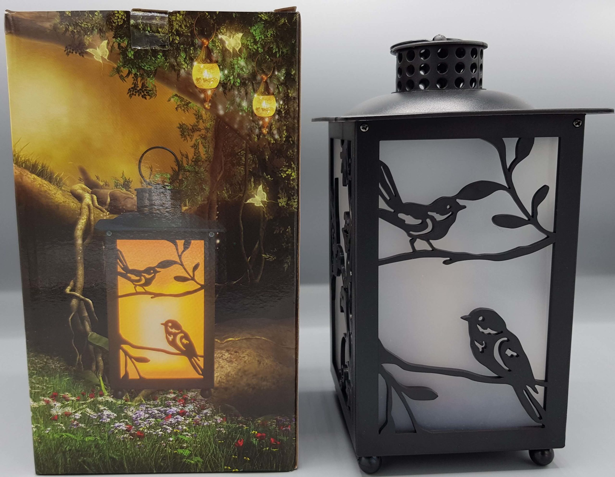 ΦΑΝΑΡΑΚΙ SPRING BIRDS