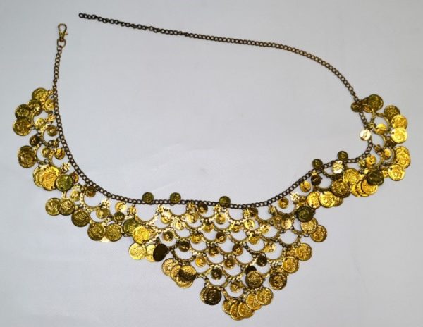 ΖΩΝΗ ΜΕΤΑΛΛΙΚΗ ΜΕ ΦΛΟΥΡΙΑ GOLD